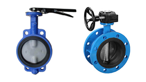 Concentric(Centric) Butterfly Valves manufacturers