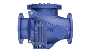 Check Valves manufacturers in Bhopal, India